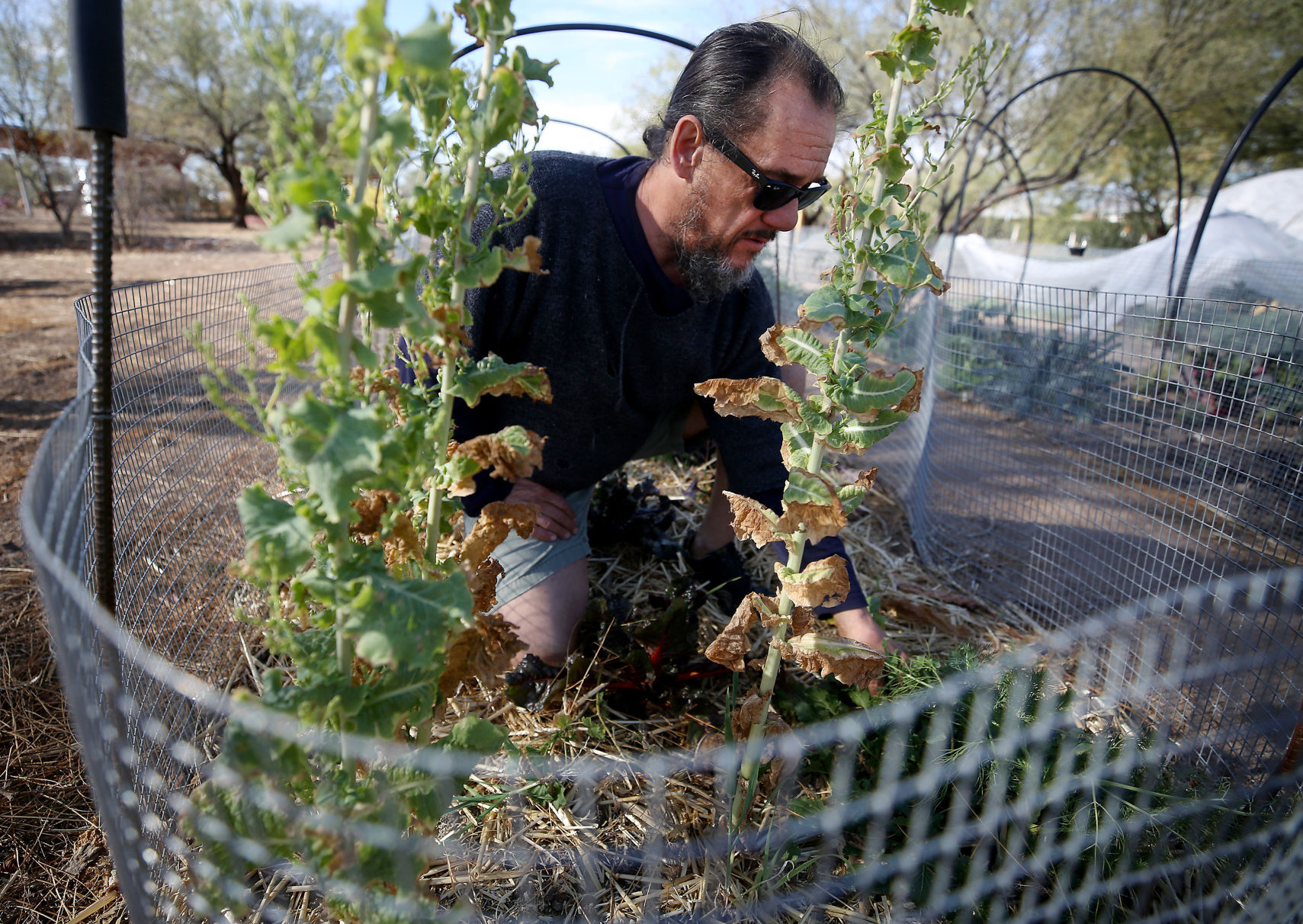 Las Milpitas Community Garden